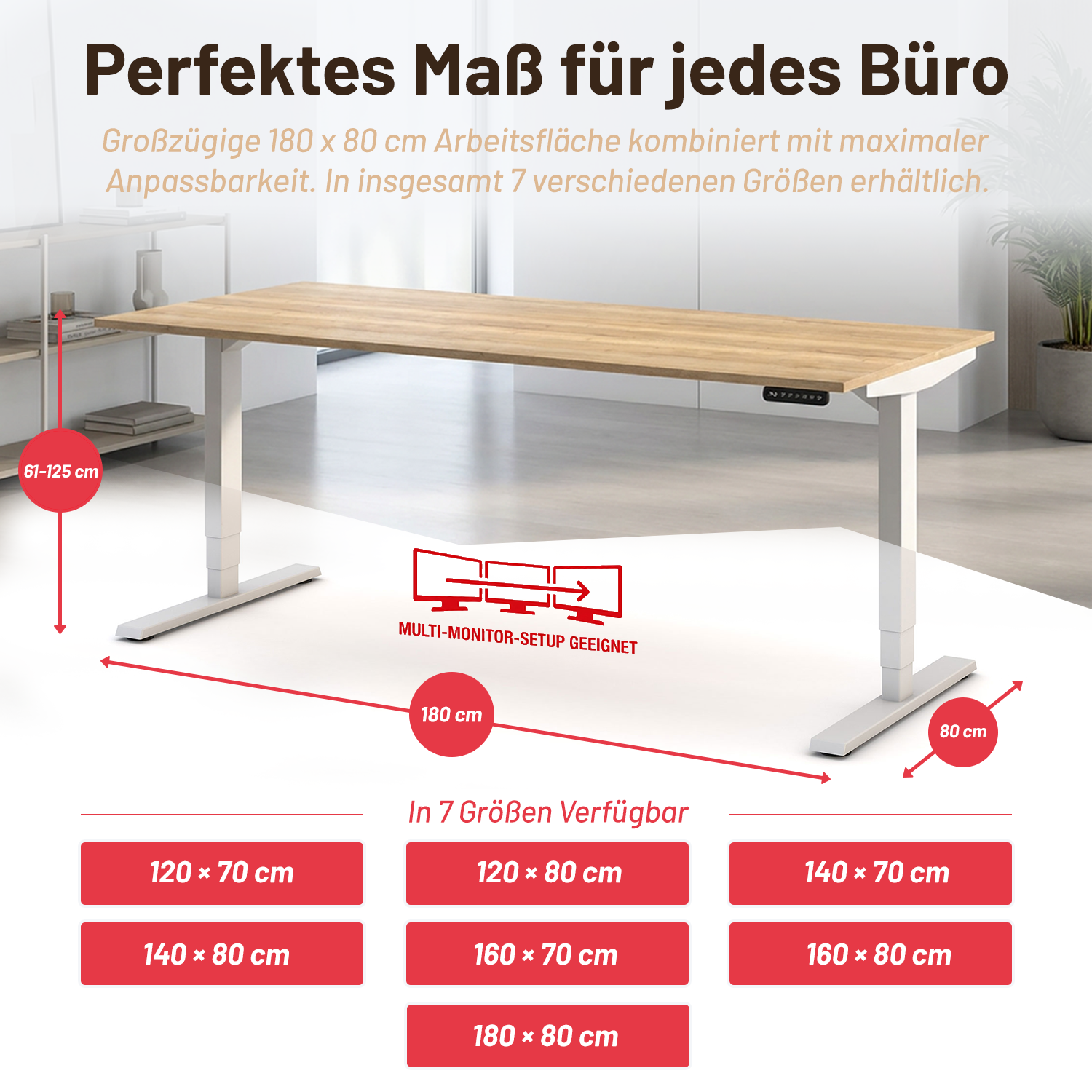4.BILD ABMESSUNGEN & VARIANTEN-VIELFALT Size-Guide_Assmann_Pintento.png