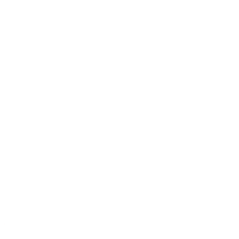 Red square with the word 'integer' and white abstract sketch inside.