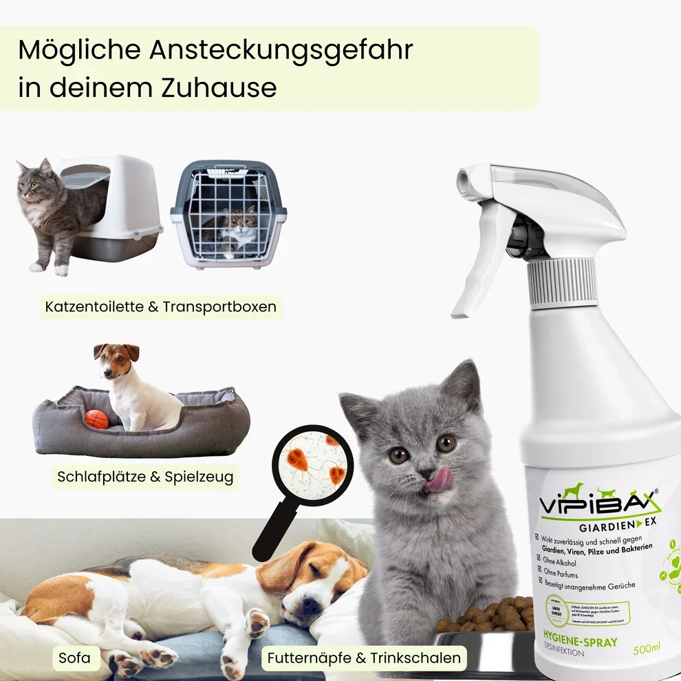 4_Vipibax AmazonA+Listing.webp