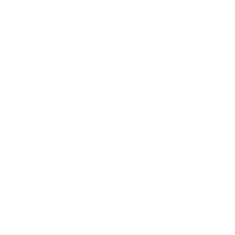 Logo of Toolport Profizelte with red text and white background.