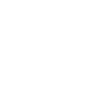 Logo for Steps to Health with a medical cross and a patient figure