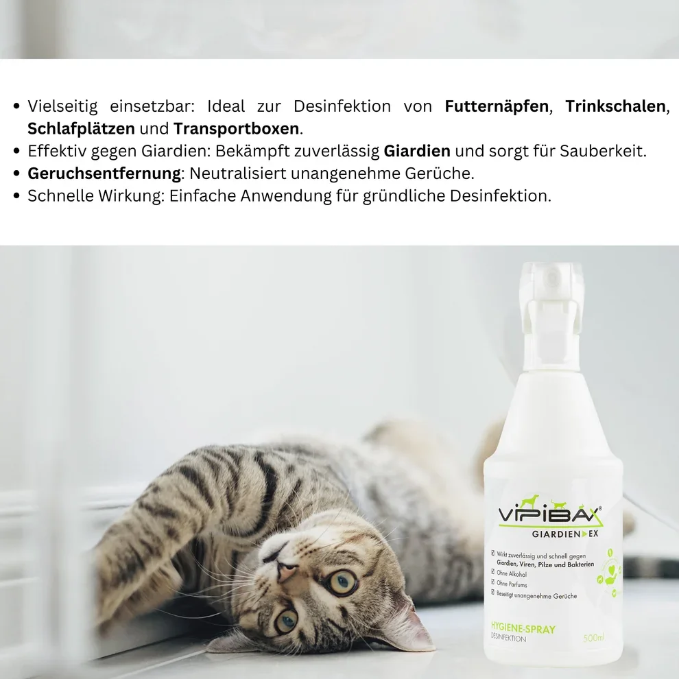 6_Vipibax AmazonA+Listing.webp