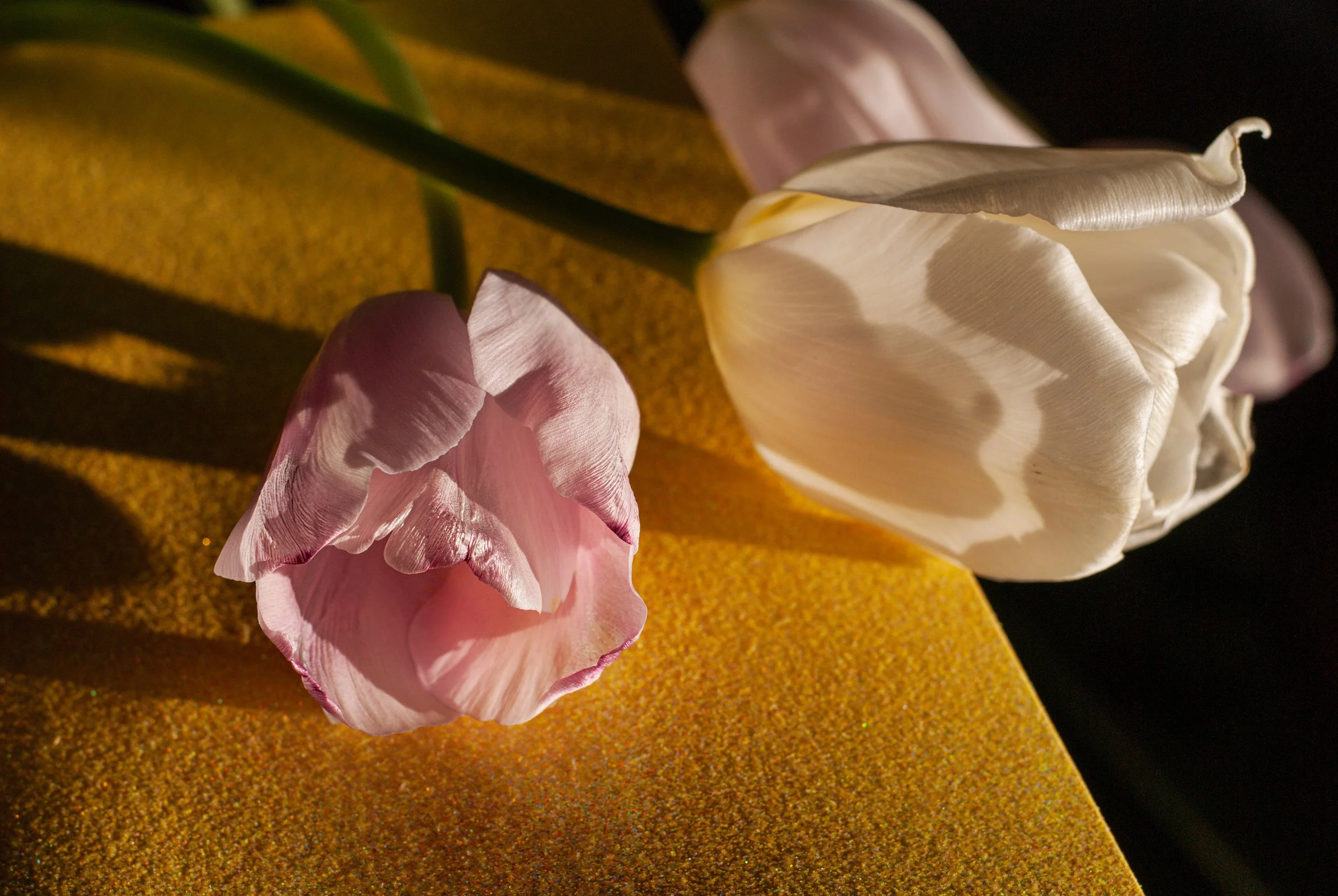 flowers-19-0118 2(1).jpg