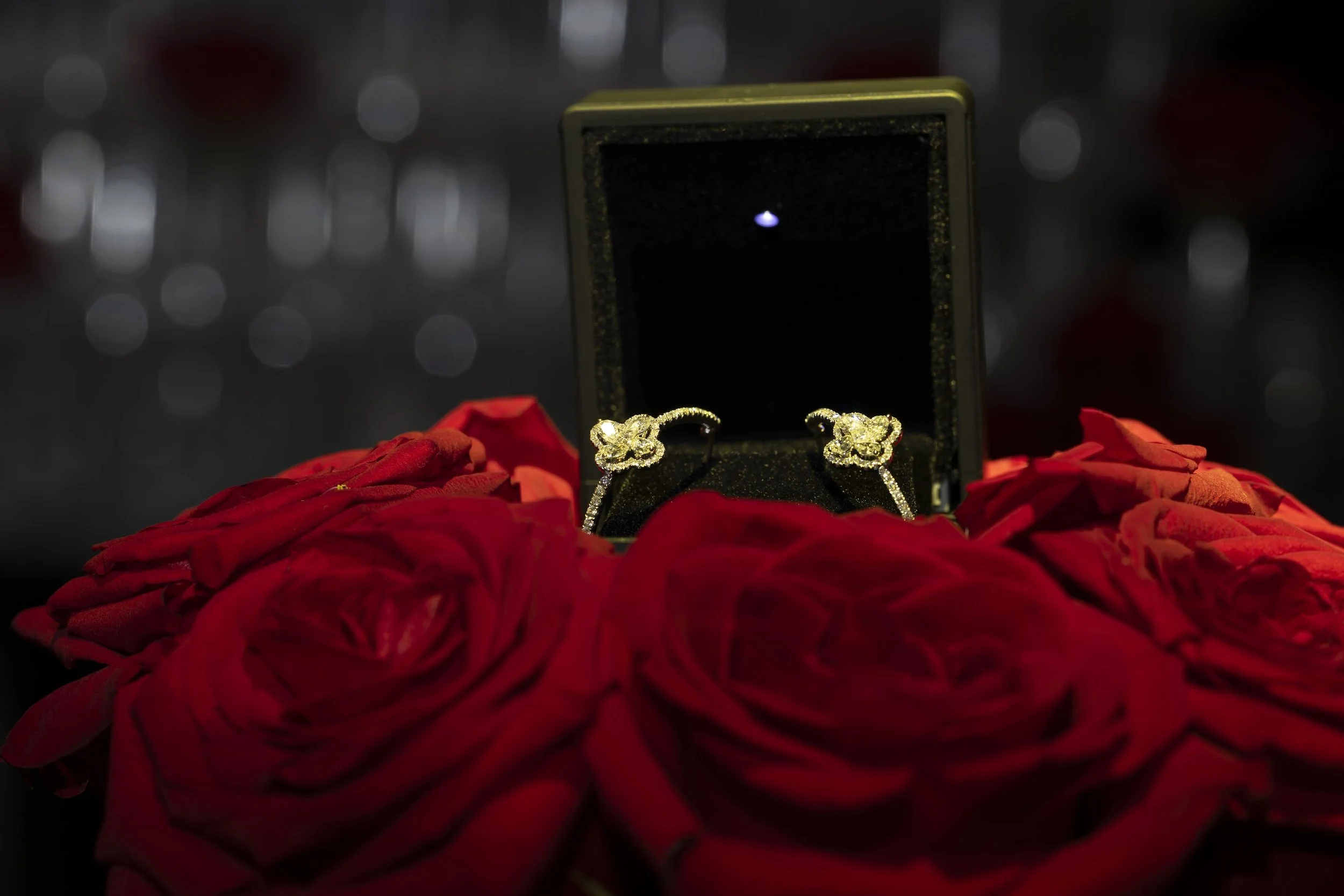 1U9A6989-.jpg