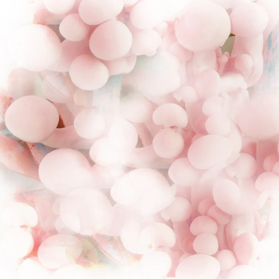 Bibiana Huang Matheis