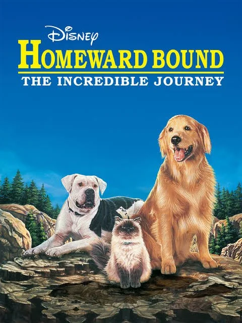 Movie Matinee at the Olive Free Library  