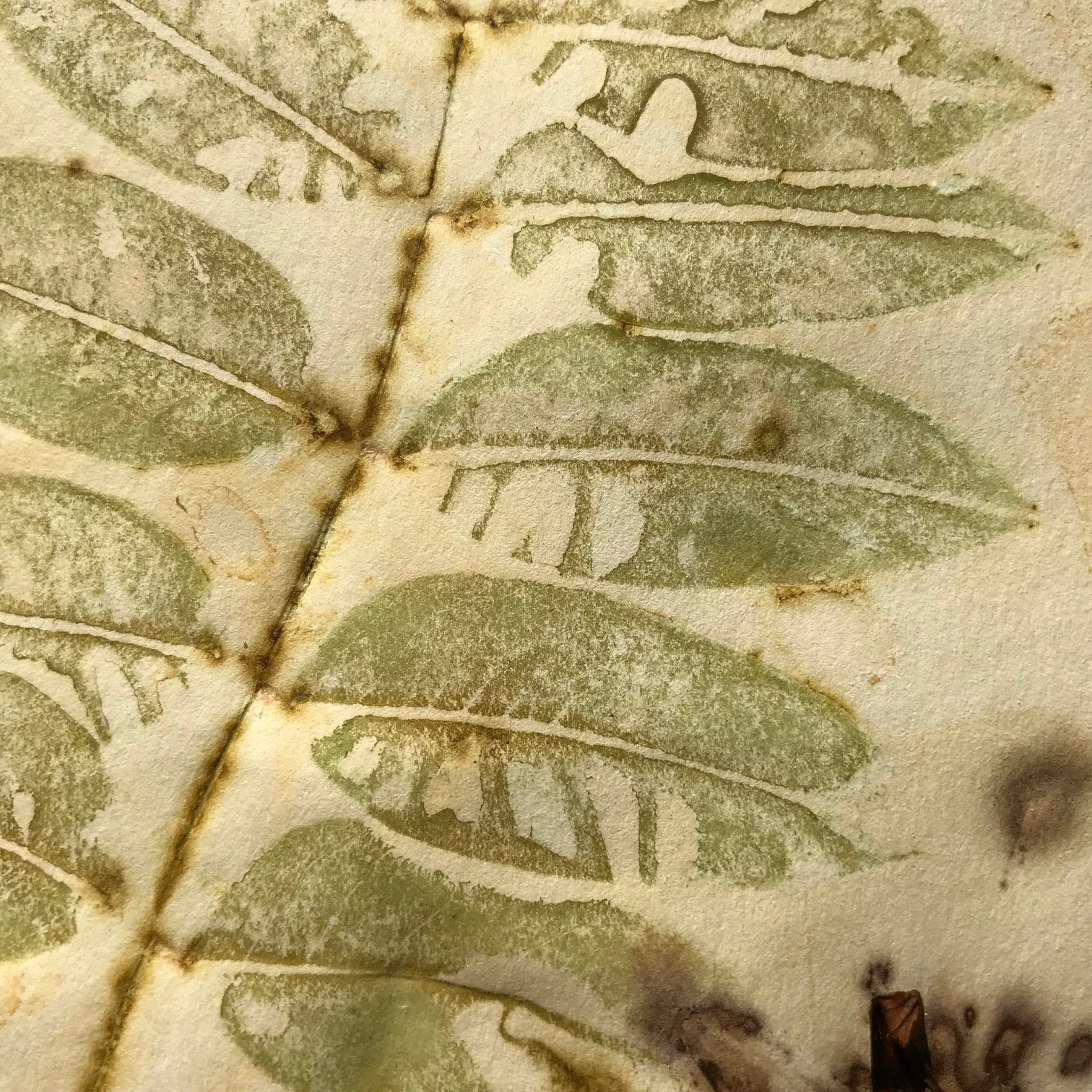 Eco Print Workshop  at the Olive Free Library