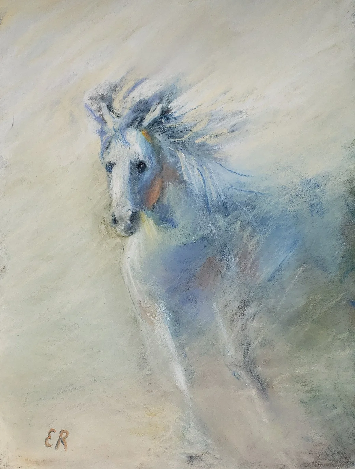 Elaine Ralston