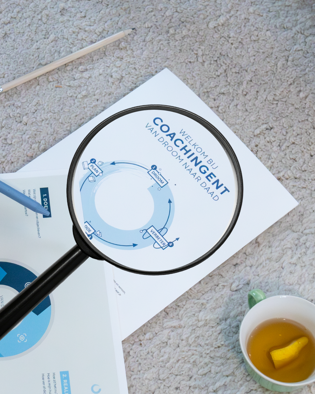 Hoe vind je een goede coach?&nbsp;