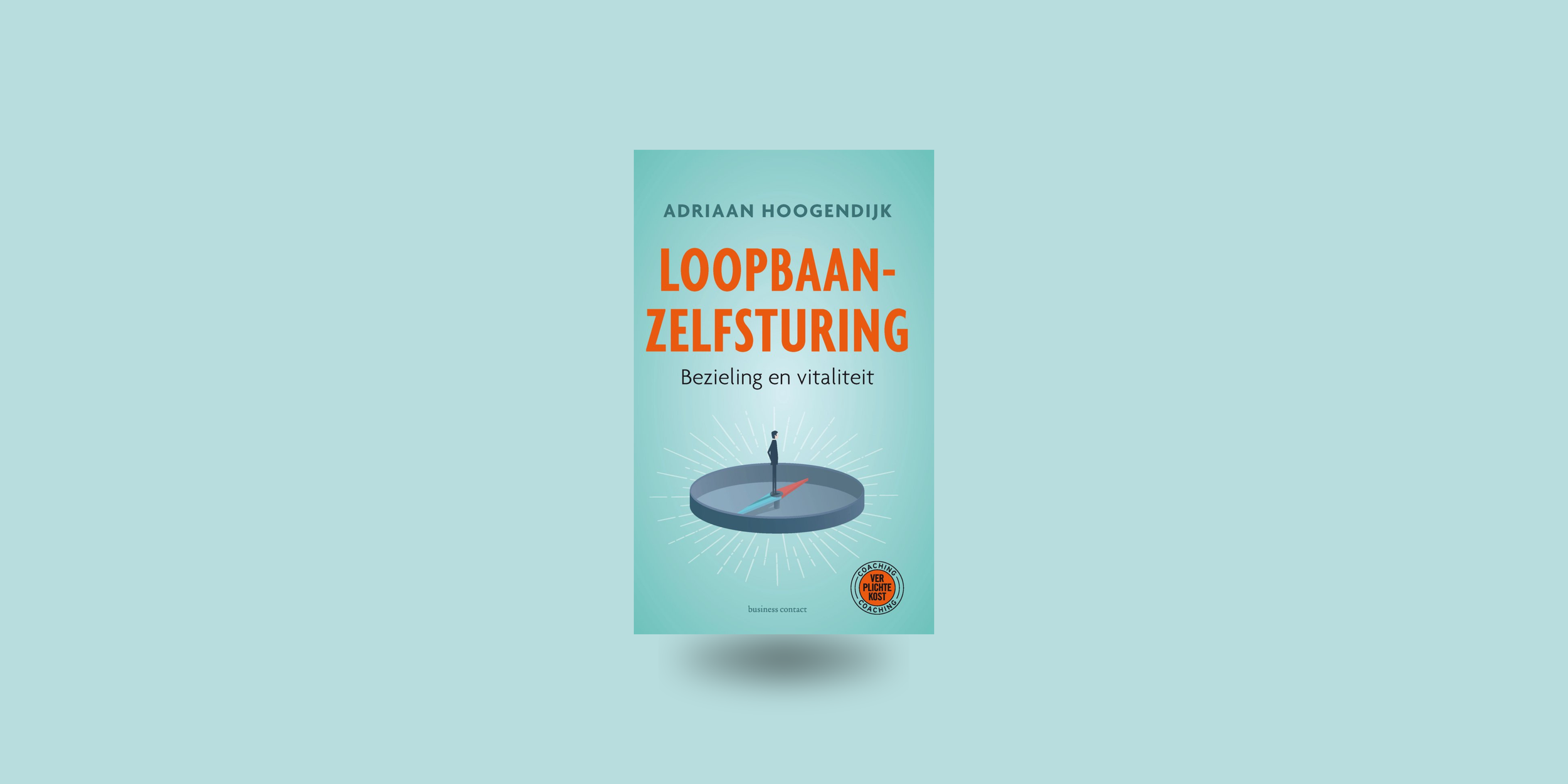 Loopbaanzelfsturing van Adriaan Hoogendijk