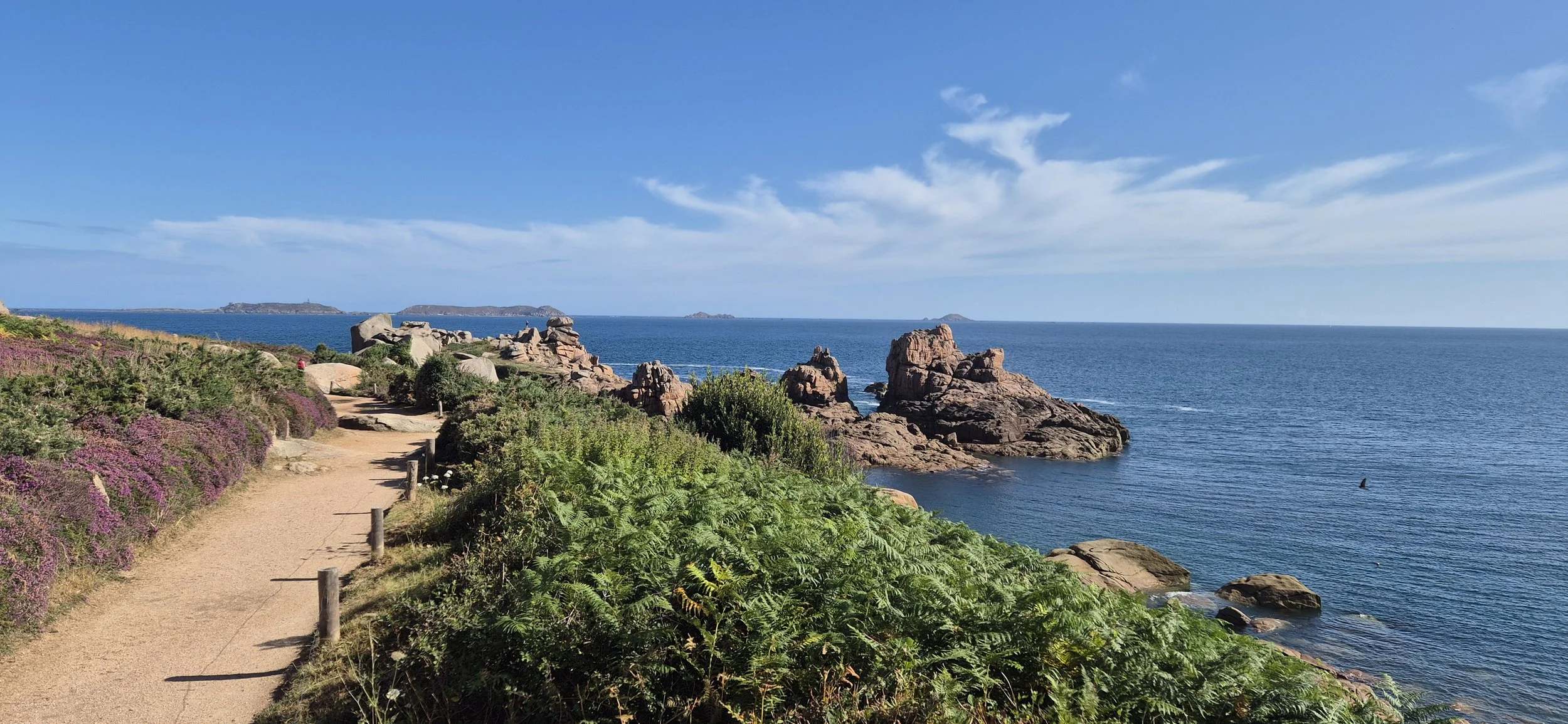 Recht op deconnectie: Wat betekent het voor jou? COACHINGENT blog