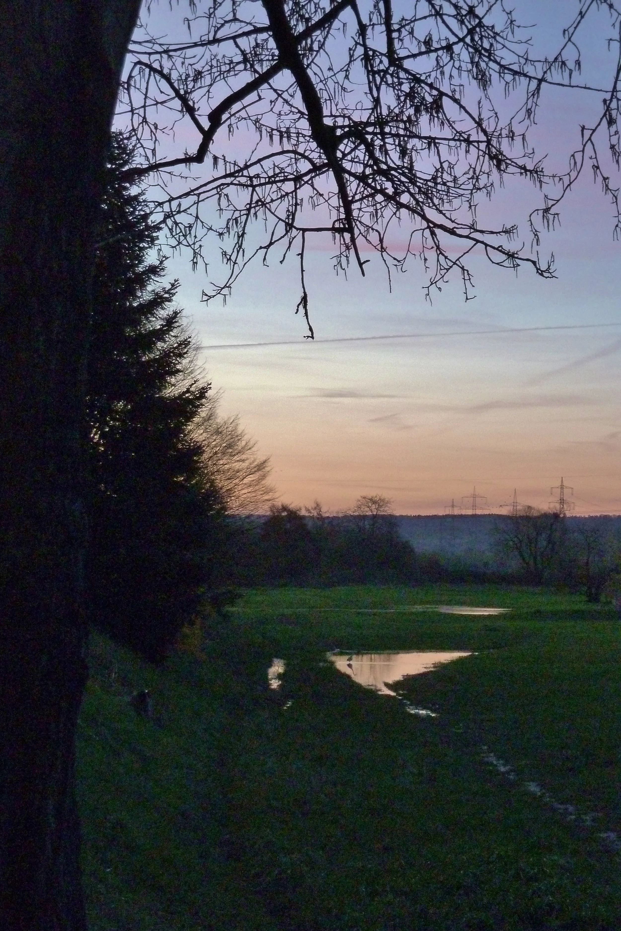 L1580149.JPG