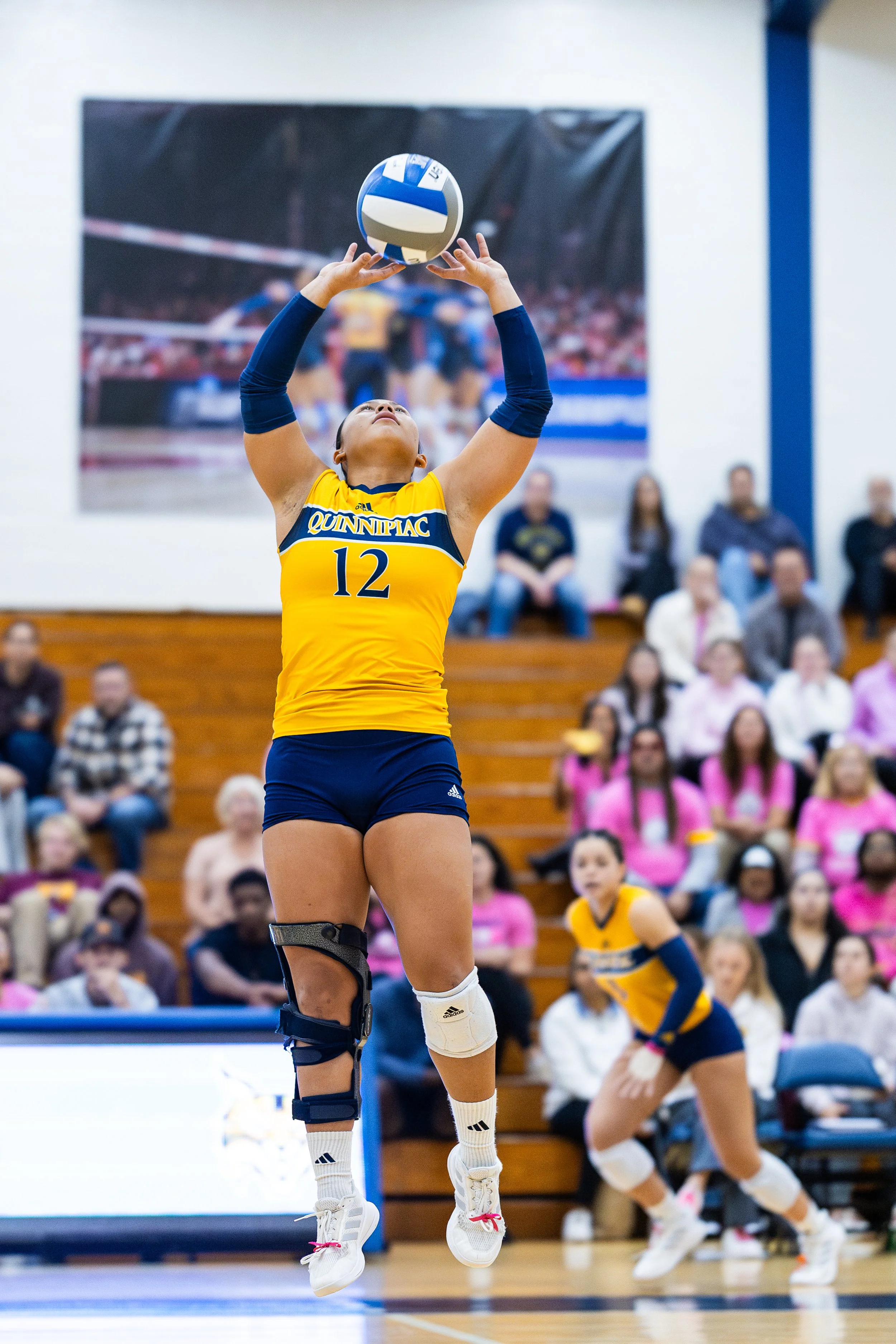 20241013-vball-vs-iona-084.jpg