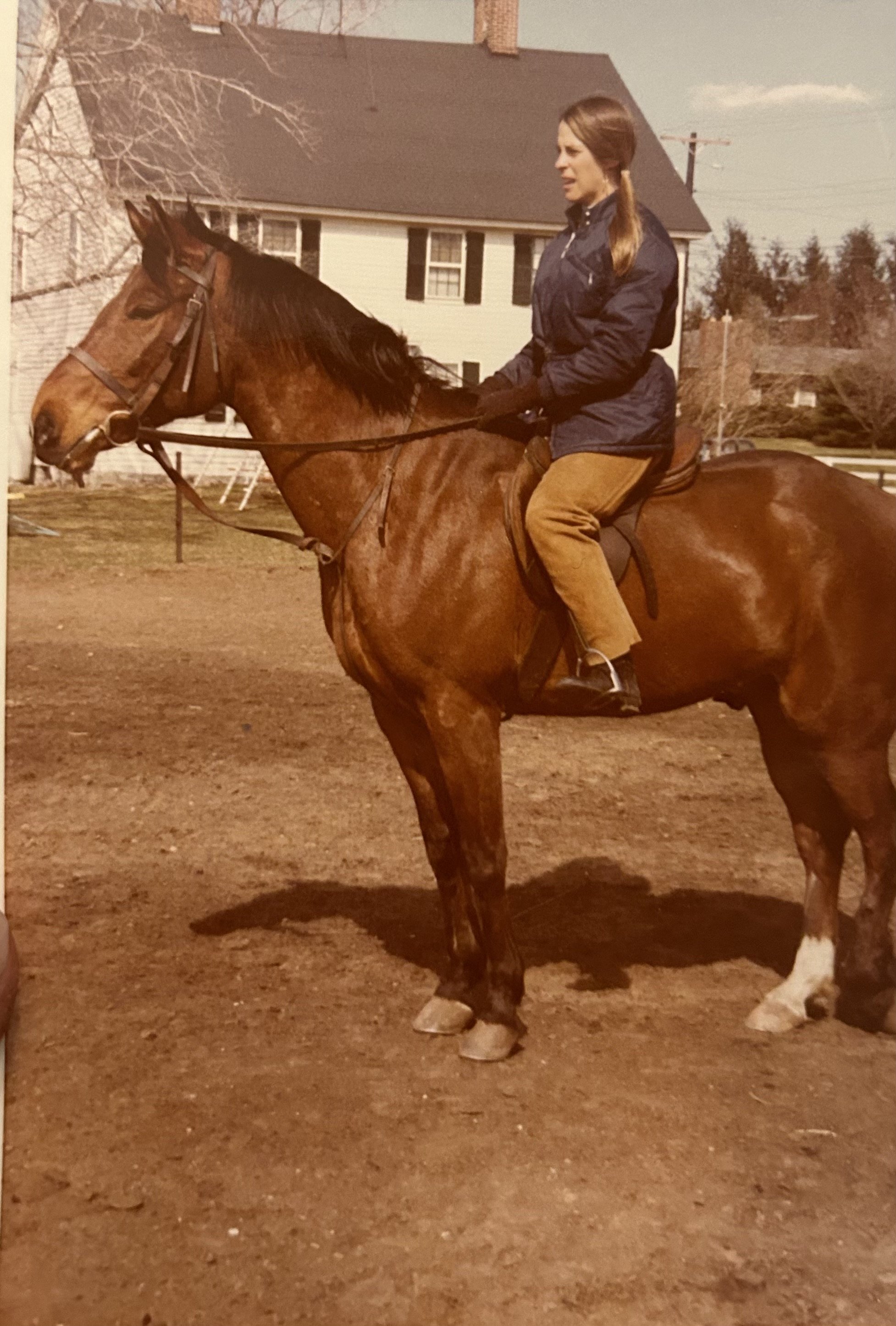 Terry Schreiber, Hillary’s mother