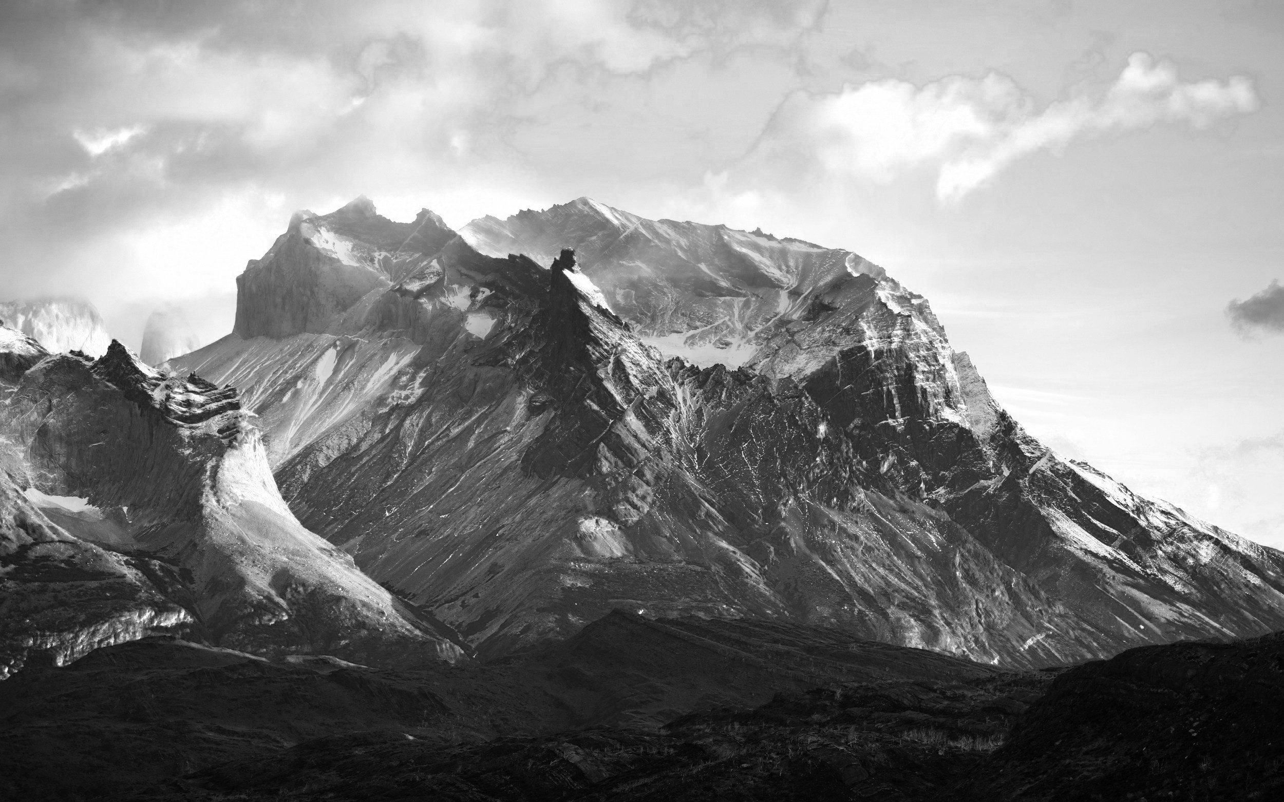 How can a company take action on biodiversity?