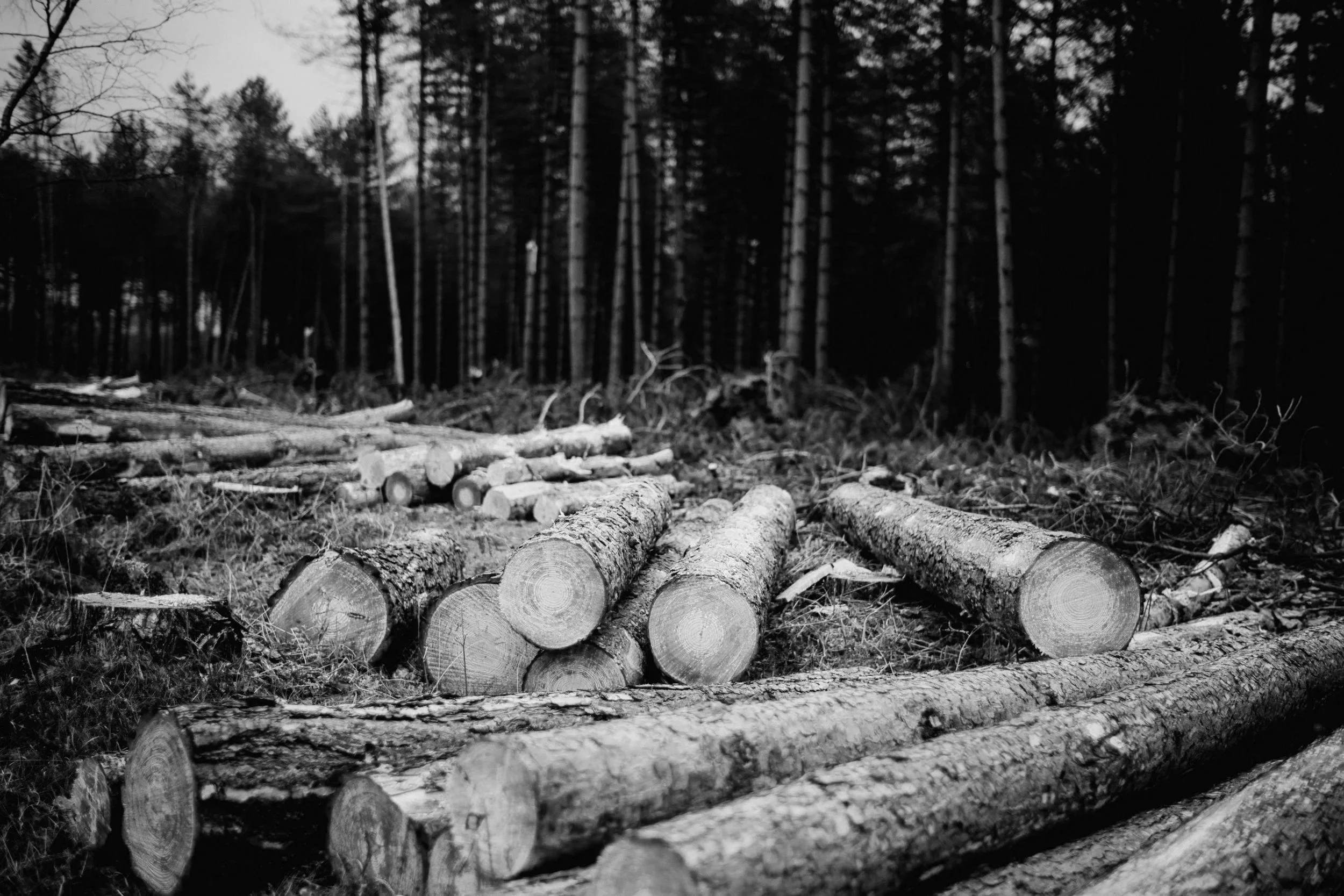 Nature risks: beyond sites, beyond carbon.