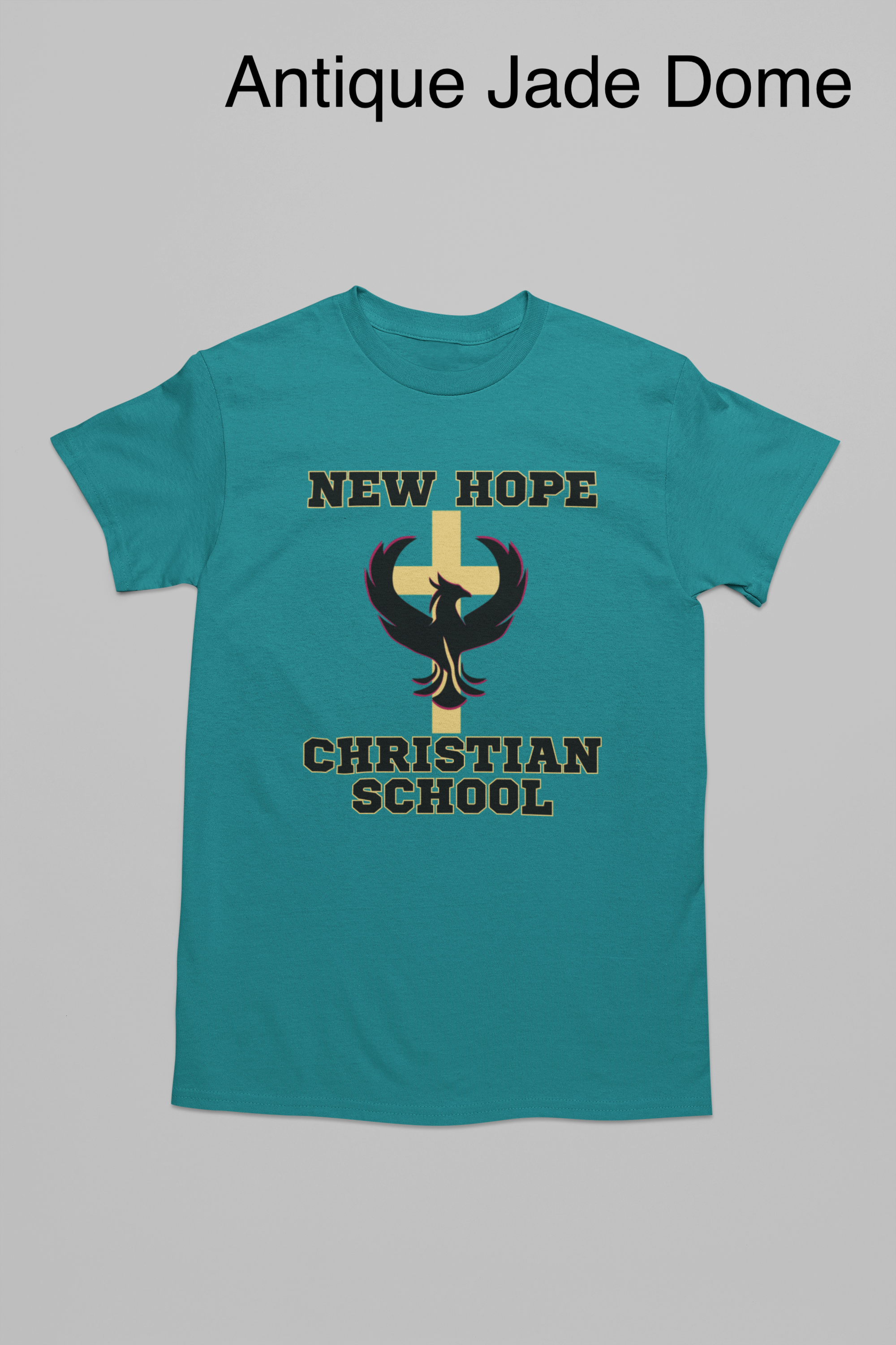 crewneck-gildan-tee-mockup-flat-laid-over-a-solid-surface-m35050 copy.png