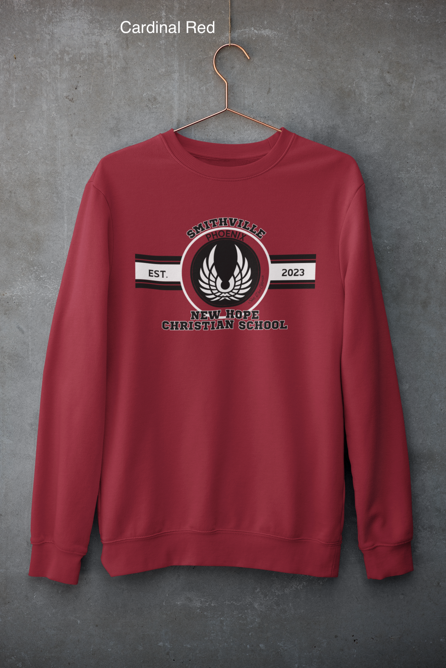 mockup-of-a-customizable-crewneck-sweatshirt-hanging-against-a-concrete-wall-33997 (1) copy 22.png