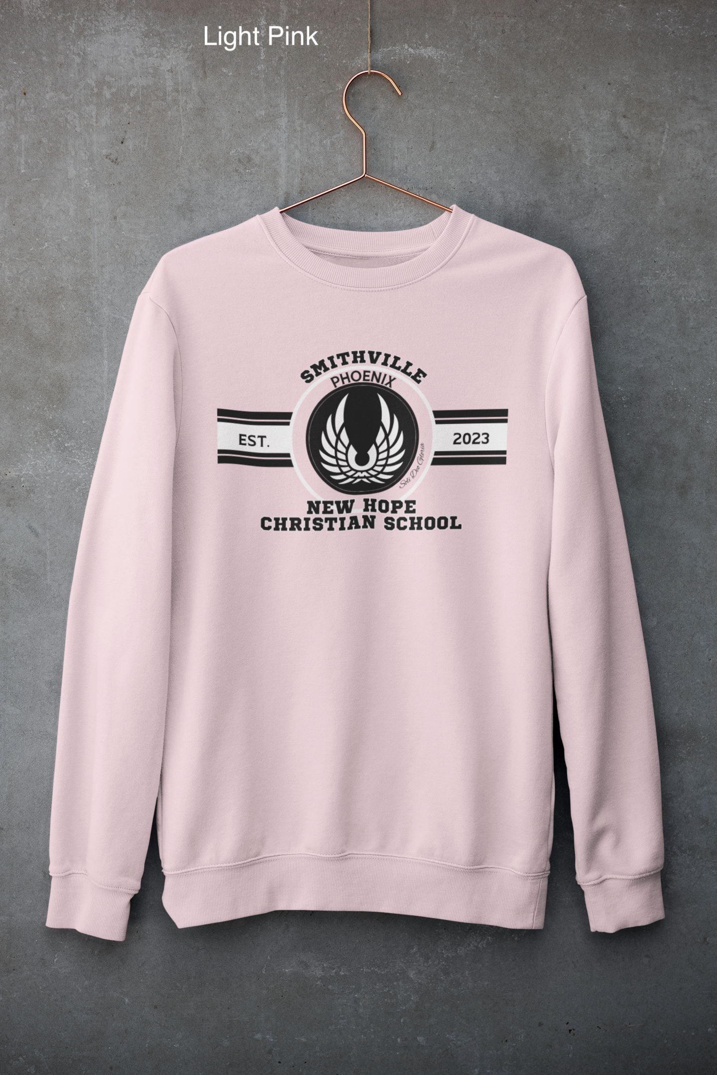 mockup-of-a-customizable-crewneck-sweatshirt-hanging-against-a-concrete-wall-33997 (1) copy 13.png