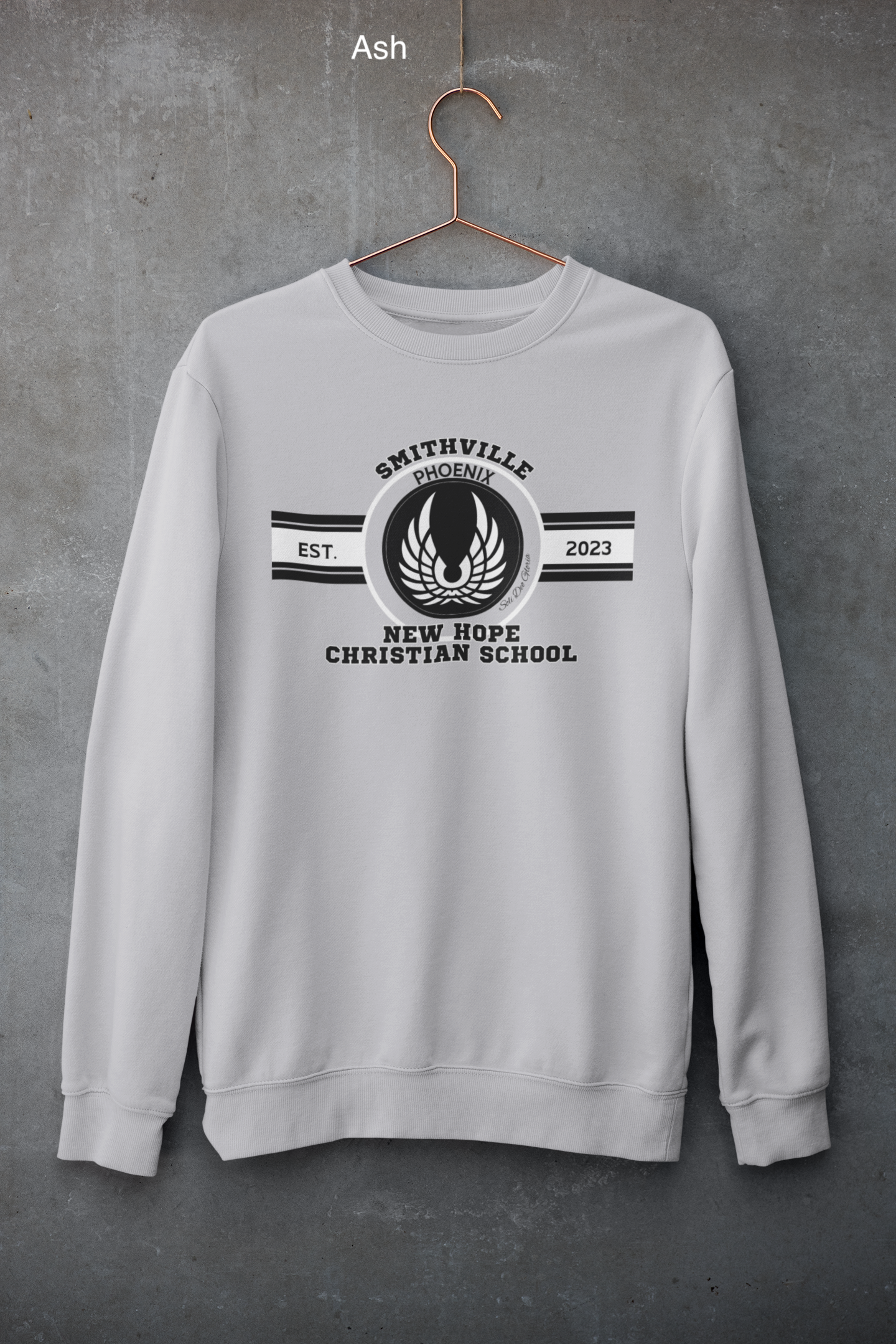 mockup-of-a-customizable-crewneck-sweatshirt-hanging-against-a-concrete-wall-33997 (1) copy 24.png