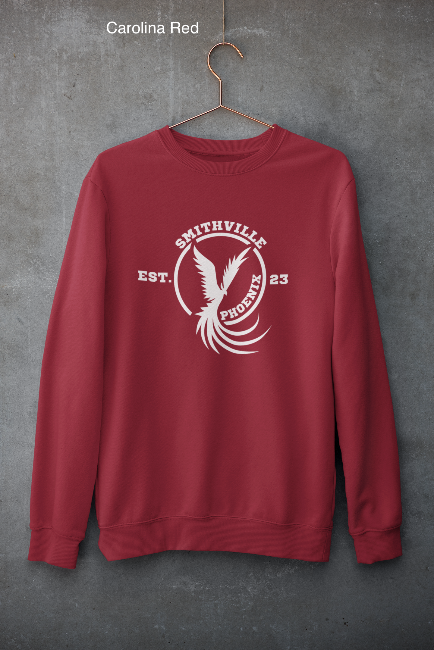mockup-of-a-customizable-crewneck-sweatshirt-hanging-against-a-concrete-wall-33997 (1) copy 3.png