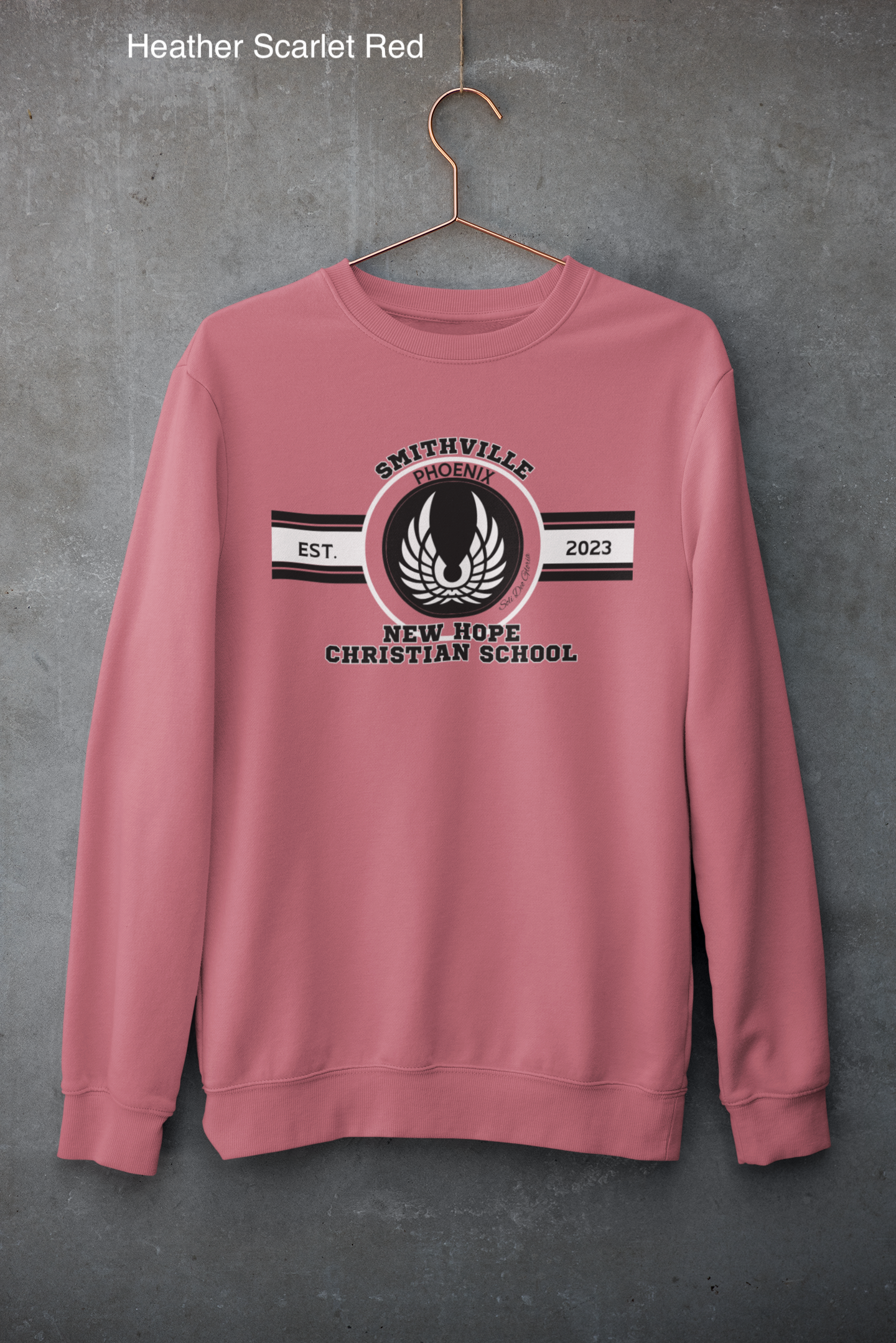 mockup-of-a-customizable-crewneck-sweatshirt-hanging-against-a-concrete-wall-33997 (1) copy 15.png
