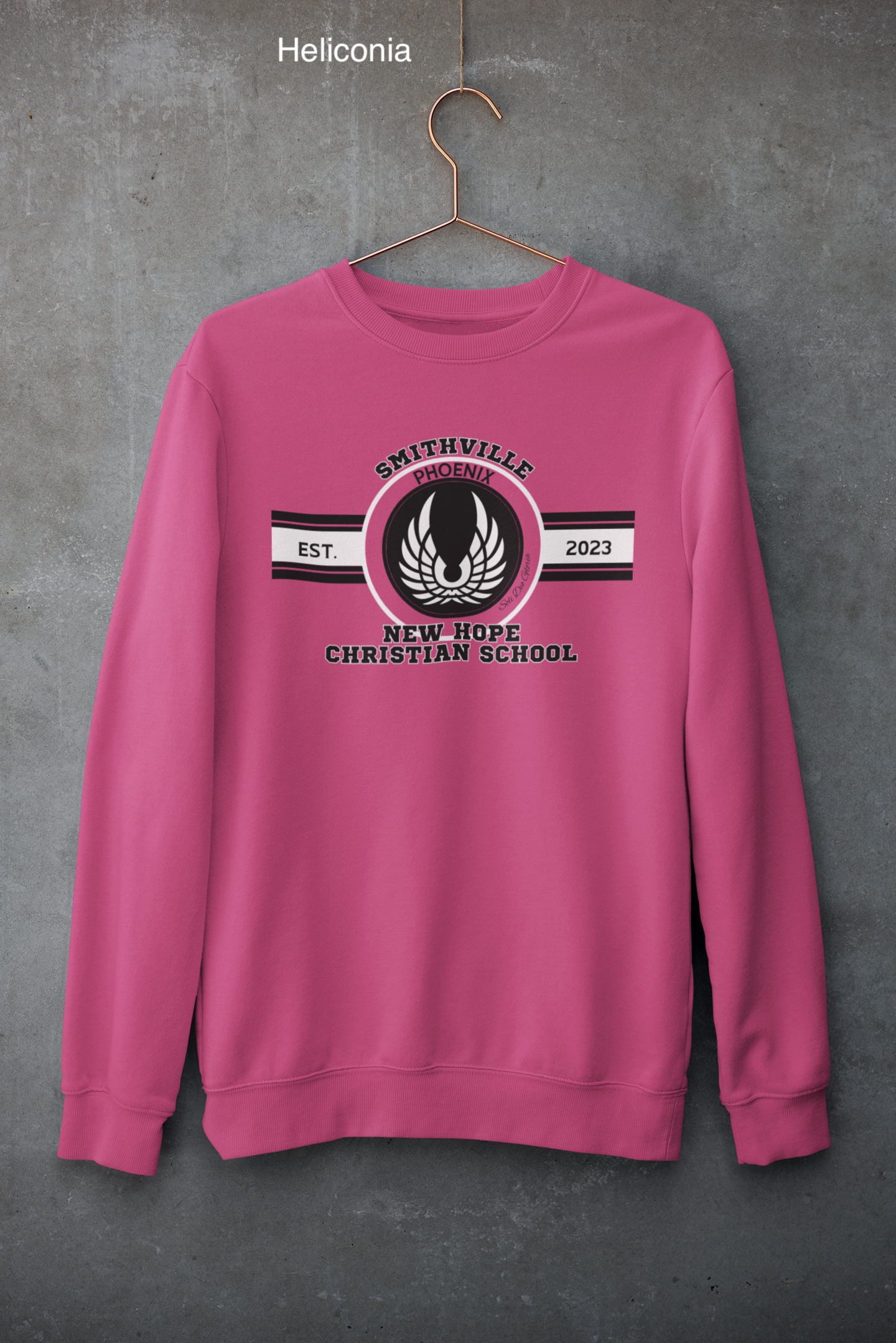 mockup-of-a-customizable-crewneck-sweatshirt-hanging-against-a-concrete-wall-33997 (1) copy 14.png