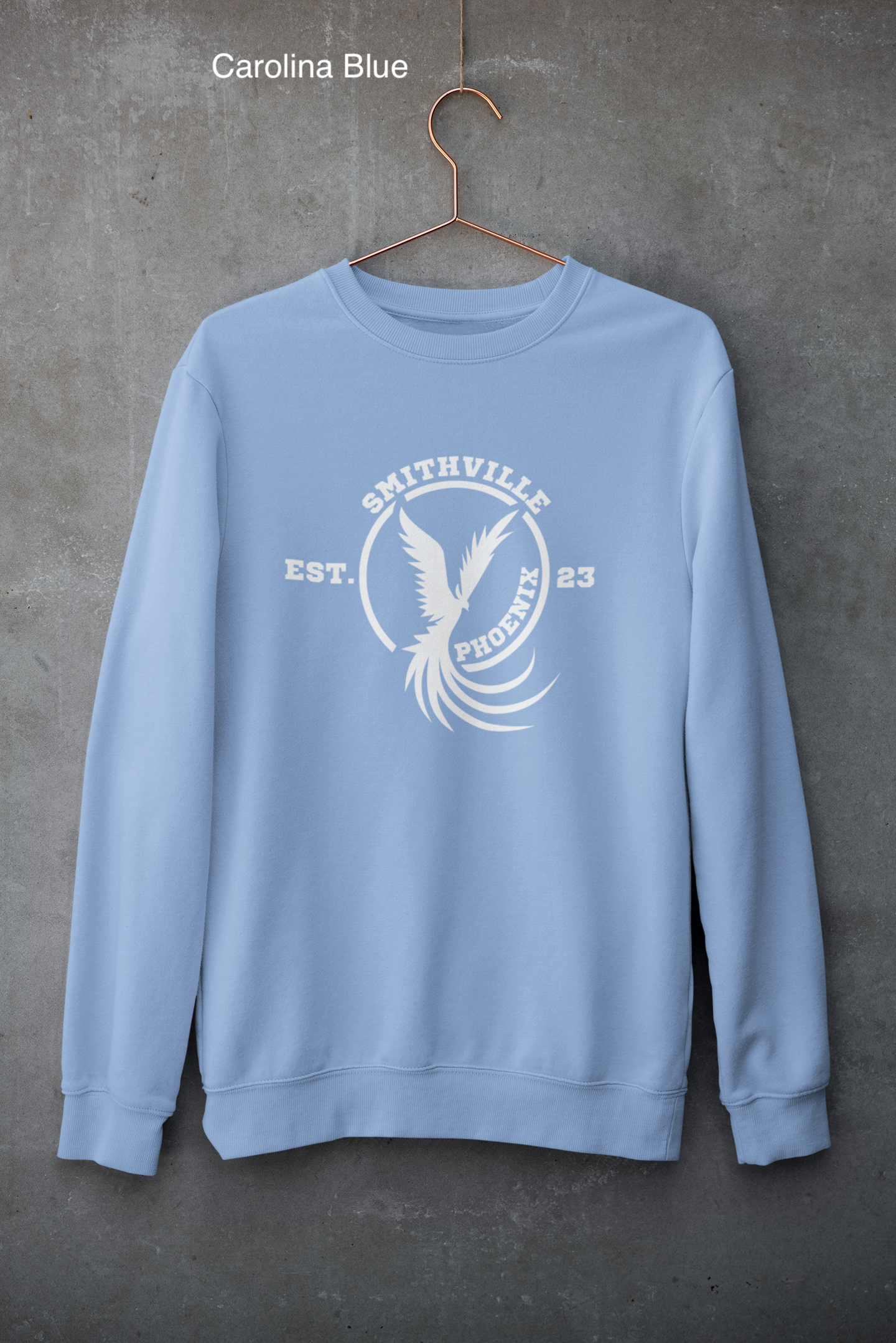 mockup-of-a-customizable-crewneck-sweatshirt-hanging-against-a-concrete-wall-33997 (1) copy 2.png