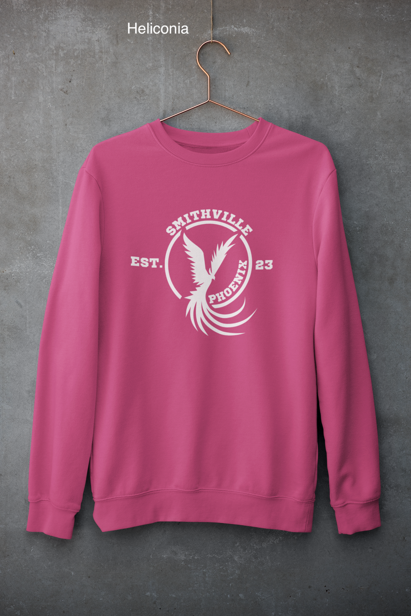 mockup-of-a-customizable-crewneck-sweatshirt-hanging-against-a-concrete-wall-33997 (1) copy 11.png