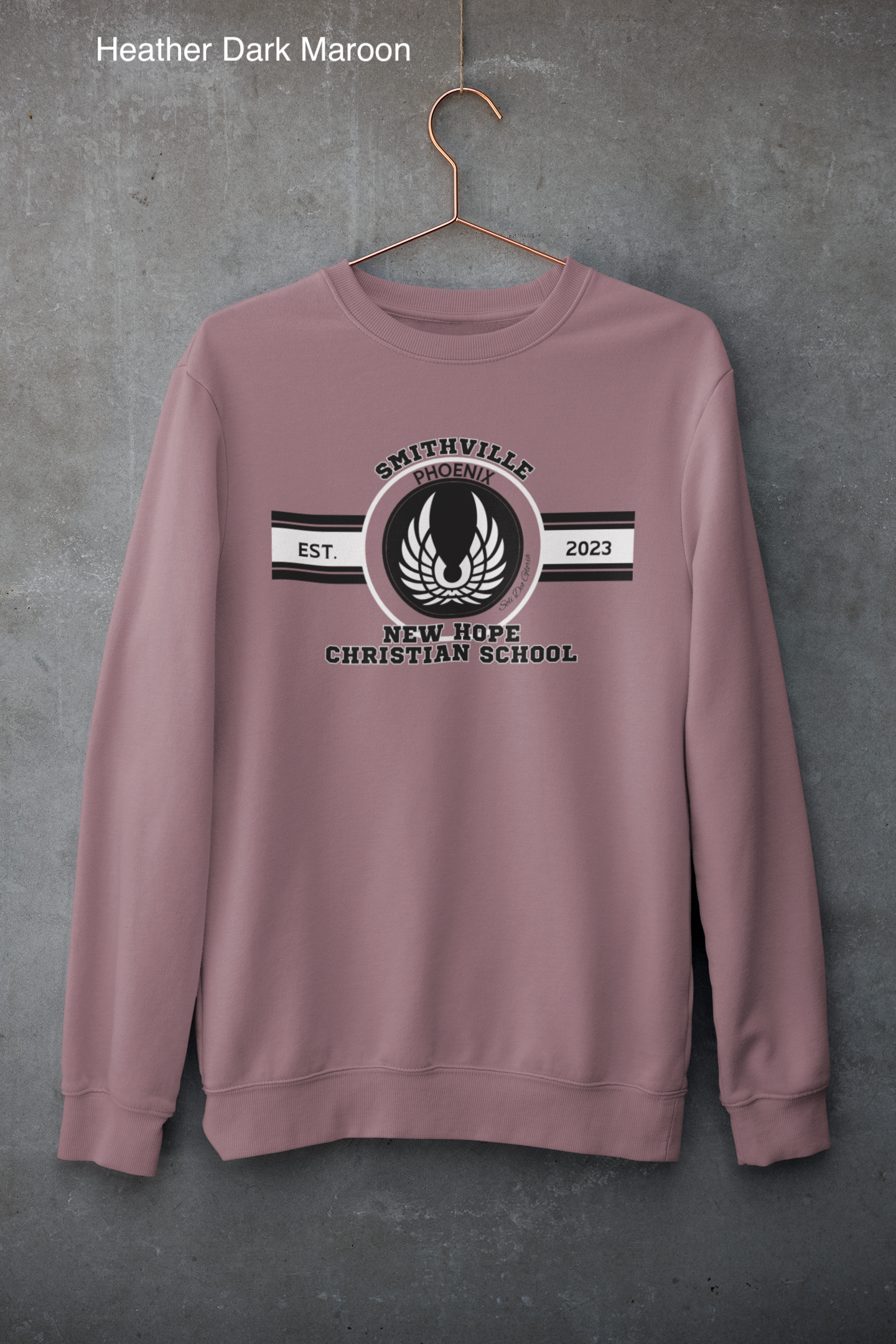 mockup-of-a-customizable-crewneck-sweatshirt-hanging-against-a-concrete-wall-33997 (1) copy 16.png