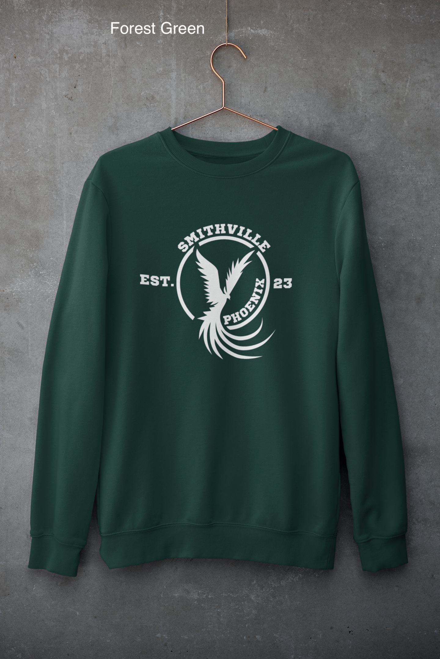 mockup-of-a-customizable-crewneck-sweatshirt-hanging-against-a-concrete-wall-33997 (1) copy 5.png