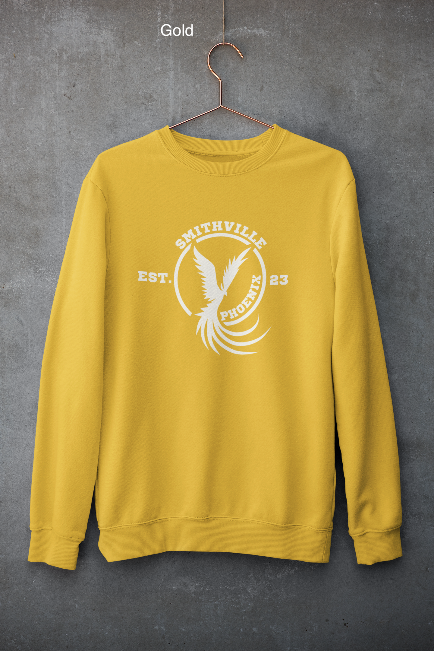 mockup-of-a-customizable-crewneck-sweatshirt-hanging-against-a-concrete-wall-33997 (1) copy 7.png
