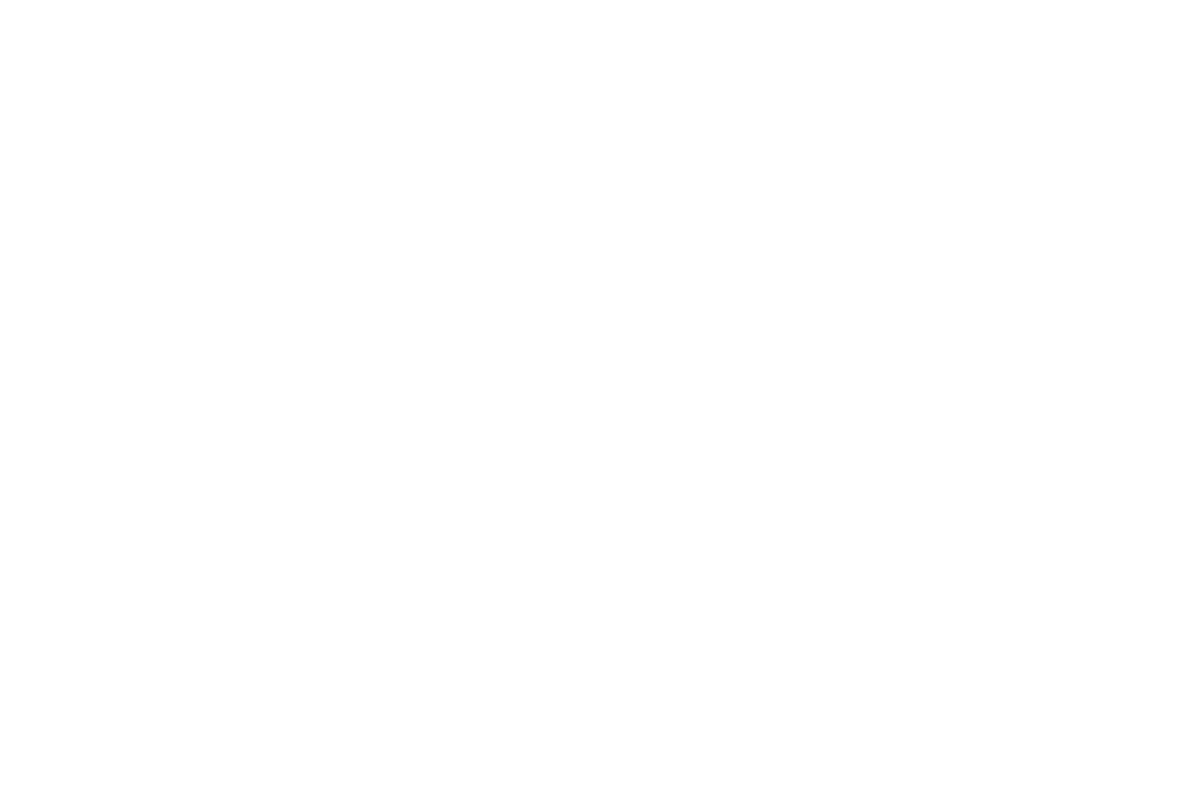 Vogt Insurance Partners