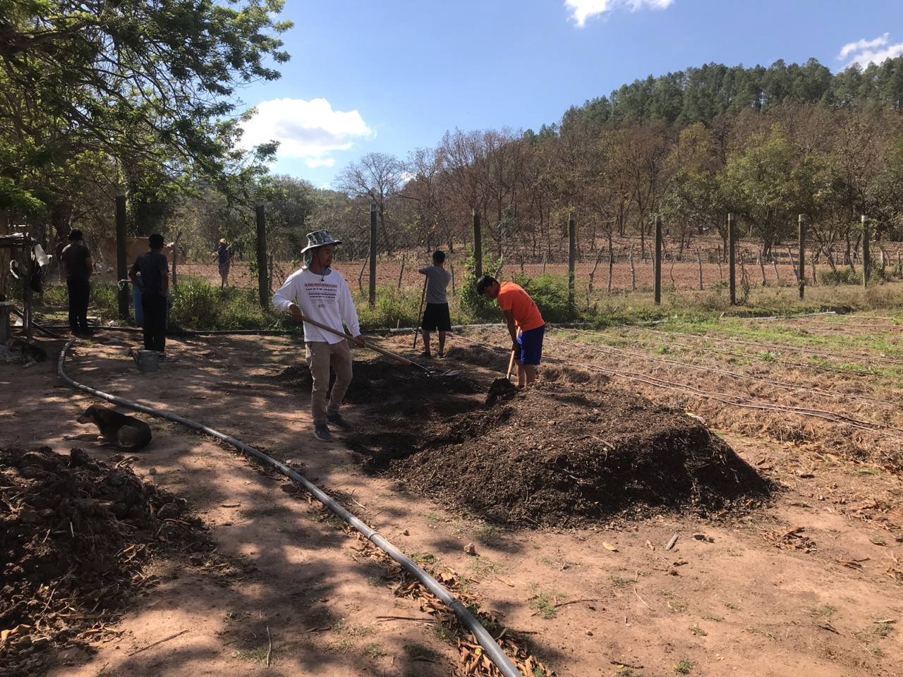 We are working at training in compost making to improve the soil instead of chemical fertilizers and sprays.
