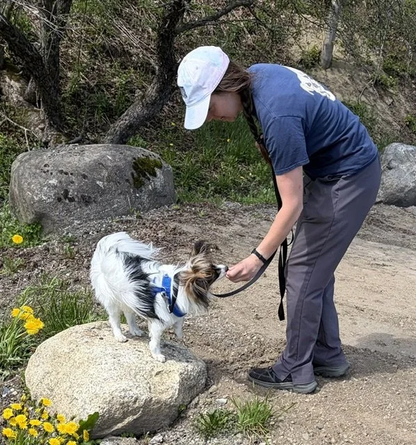 sam rewards papillon standing on a rock