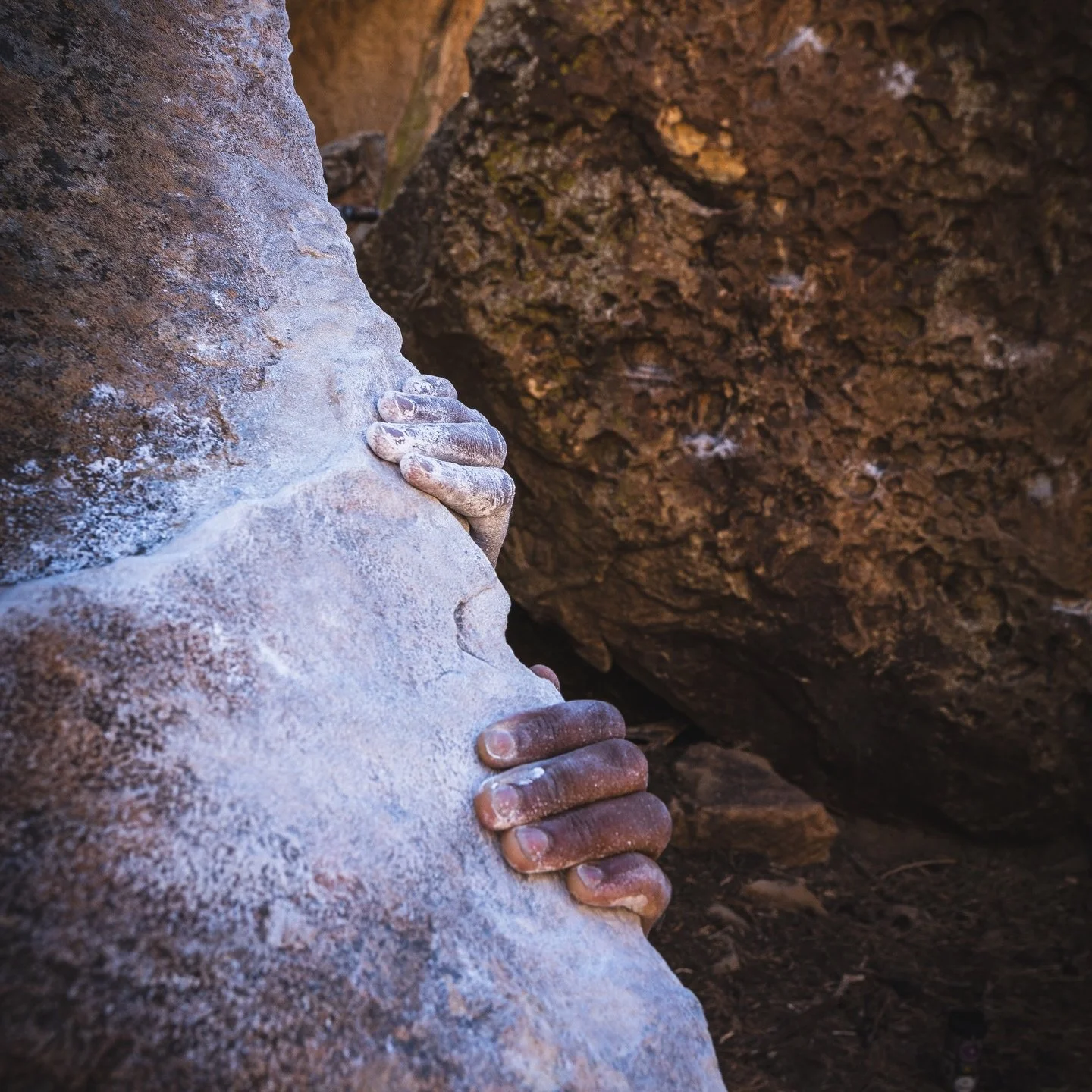 &ldquo;𝓦𝓔 𝓝𝓔𝓔𝓓 𝓦𝓘𝓛𝓓𝓔𝓡𝓝𝓔𝓢𝓢 𝓦𝓗𝓔𝓣𝓗𝓔𝓡 𝓞𝓡 𝓝𝓞𝓣 𝓦𝓔 𝓔𝓥𝓔𝓡 𝓢𝓔𝓣 𝓕𝓞𝓞𝓣 𝓘𝓝 𝓘𝓣.&ldquo;

📸 Pit stop in Roy, NM ➡️ next stop USAC Regionals in Centennial, Colorado with coach @henrygrounded 👈 GRATEFUL FOR THE FRIENDSHIP 