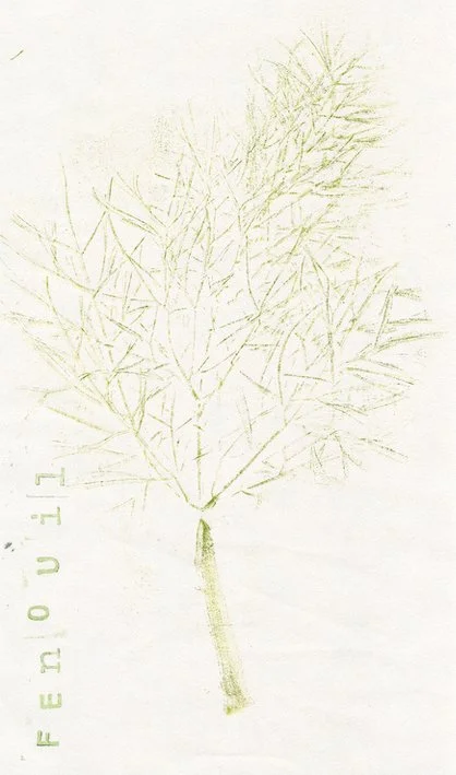 fenouil0.jpg