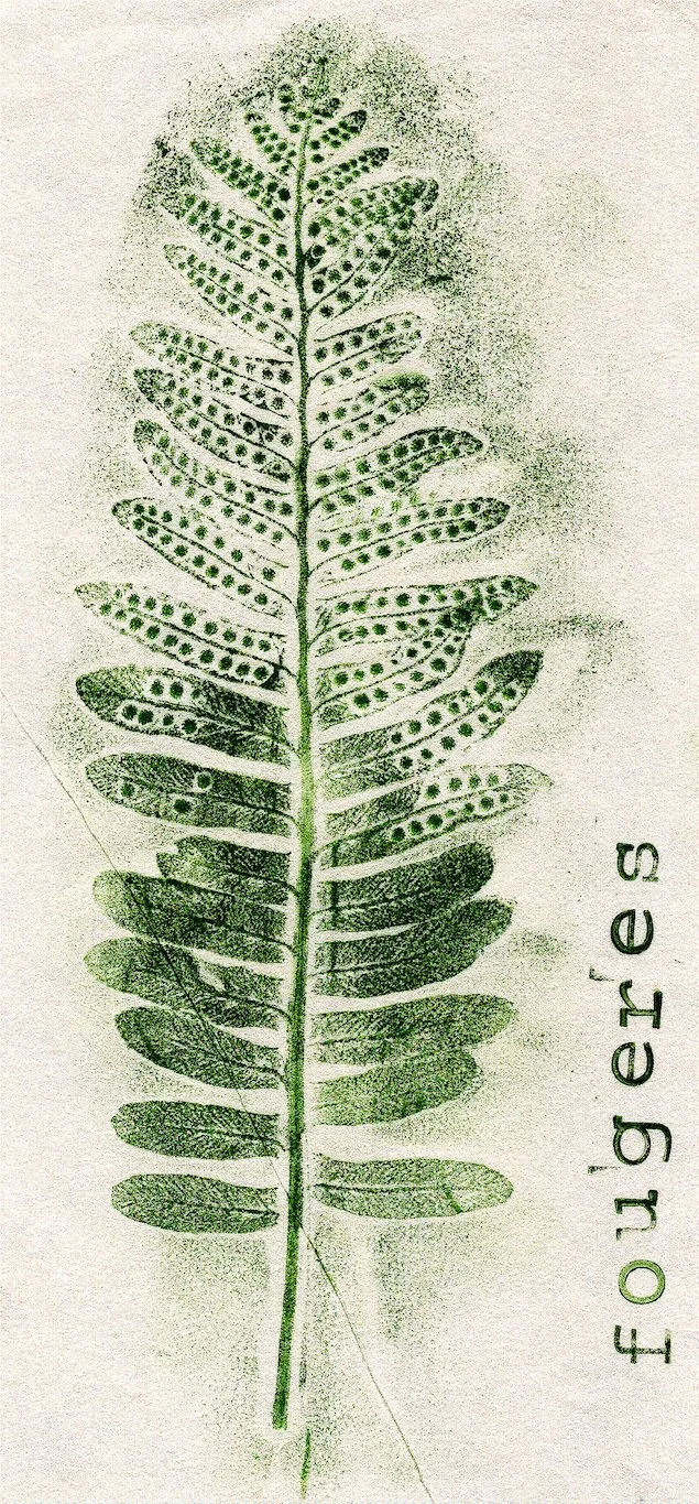 Bibliothèque, Voulx (77), les abords. juilet 2024