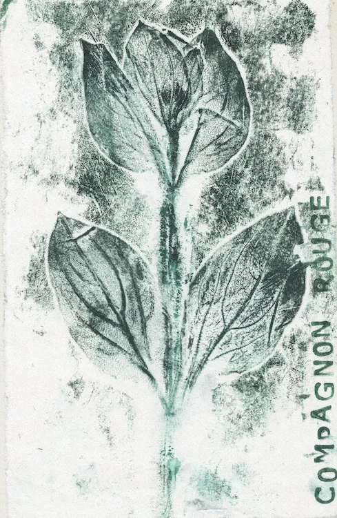 Jardins en scènes, Lerzy (02) - septembre 2023