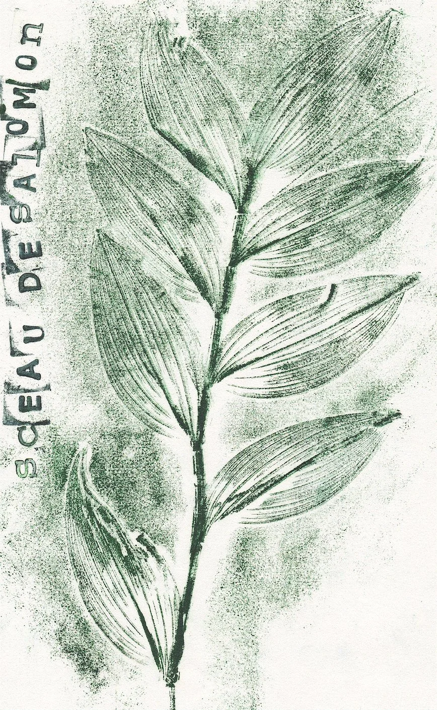 sceau de salomon.jpg