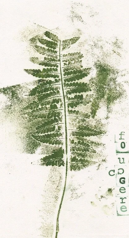 fougere copie.jpeg