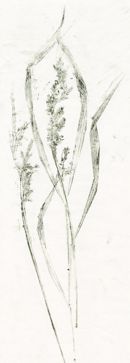 Ecole maternelle de Voulx (77) - 2024-2025