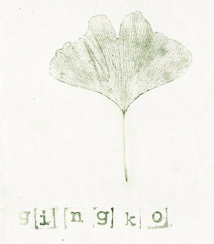 ginko.jpg