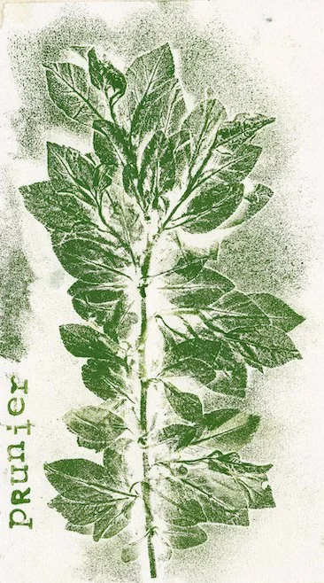 Collège Honoré de Balzac, Nemours (77) - avril 2025