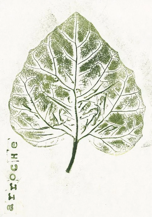 arroche.jpg