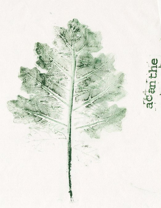 Chez Marinette, Bourron-Marlotte (77), automne 2025