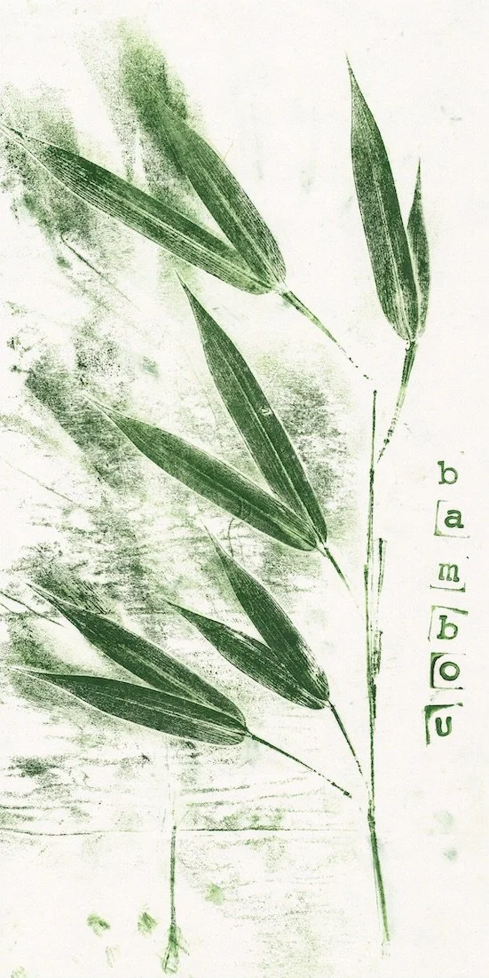 bambou0 copie.jpeg