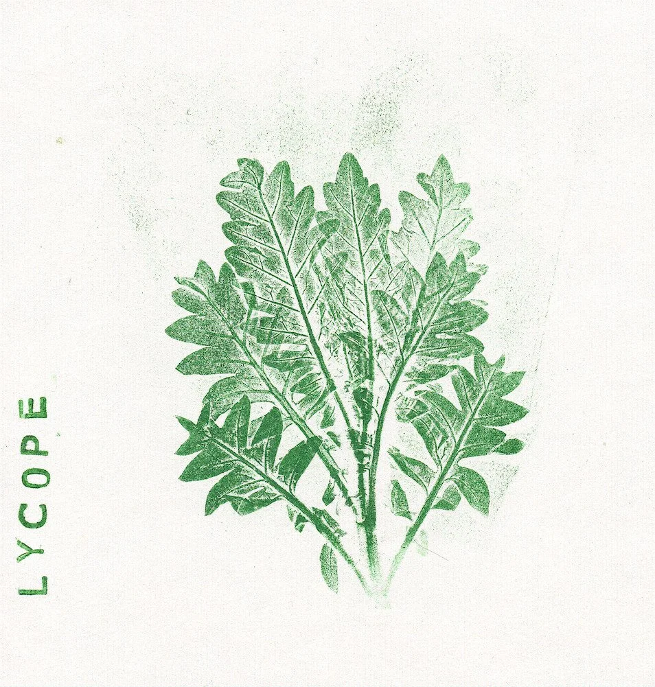 Les Echappées de La chambre d'eau, St-Michel-en-Thiérache (02) - mai 2024