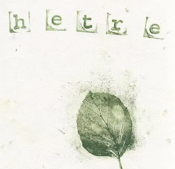 hetre1.jpg