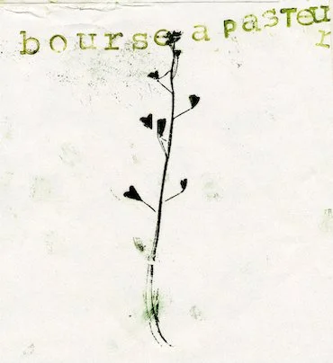 bourse-pasteur.jpg